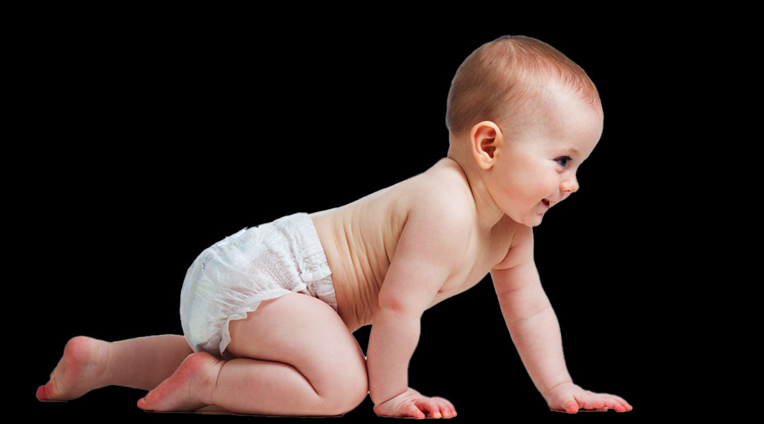 Baby & Toddler